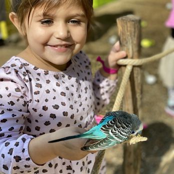 Caldwell Zoo - Wild Bird Walkaround - Zoos Near Me - Tyler, Texas