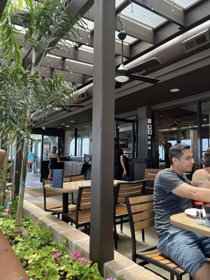 Chix on the Beach by null