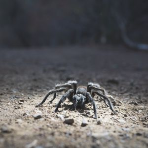 Fun things to do in the East Bay