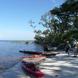 Aardvarks Florida Kayak - Shell Island