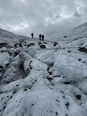 Salmon Berry Travel & Tours by null