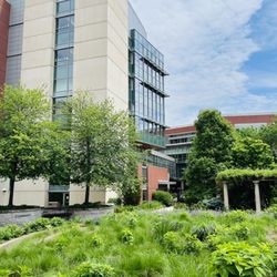 SSM Health St. Mary's Hospital - Madison - Building
