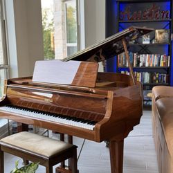 Shanik Hughes Voice Coach - Home Studio