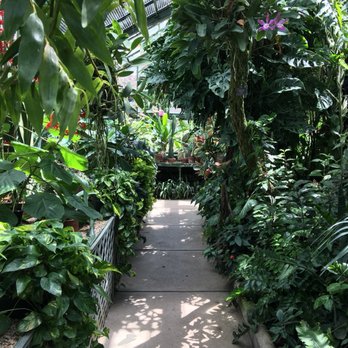 Floral Showhouse - Botanical Gardens Near Me - Niagara Falls, Ontario Floral Showhouse - Botanical Gardens Near Me - Niagara Falls, Ontario