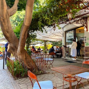 Maque - Beautiful outdoor seating - Breakfast & Brunch Near Me - México, D.F., DIF Maque - Beautiful outdoor seating - Breakfast & Brunch Near Me - México, D.F., DIF