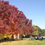 Photo of Havern School