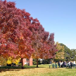 Havern School