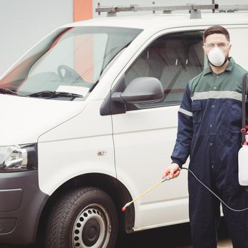 Bed Bug Exterminator Indianapolis - Pest Control Near Me - Indianapolis, Indiana Bed Bug Exterminator Indianapolis - Pest Control Near Me - Indianapolis, Indiana