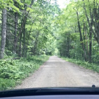 Mount Blue Trail - Mt. blue road leading to trail head. Beware it's bumping. Don't bring your corvette. - Hiking Near Me - Weld, Maine