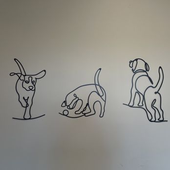 Tails and Ales - Dog Parks Near Me - Tulsa, Oklahoma Tails and Ales - Dog Parks Near Me - Tulsa, Oklahoma
