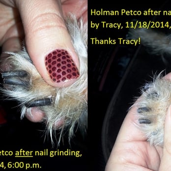 nail grinder petco