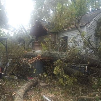 Rocky's Tree Service - Tree Services Near Me - Gastonia, North Carolina Rocky's Tree Service - Tree Services Near Me - Gastonia, North Carolina
