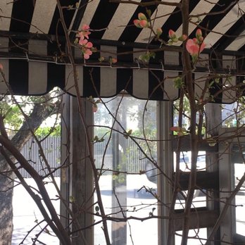 Zoom Bloomz - Florists Near Me - Miami, Florida