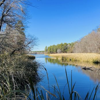 Tyler State Park - Parks Near Me - Tyler, Texas Tyler State Park - Parks Near Me - Tyler, Texas
