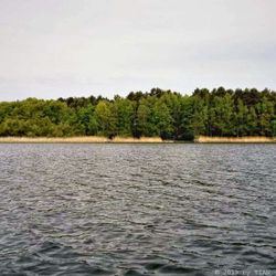 Scharmützelsee - Der See ist ein beliebtes Wassersportrevier (06/2019)