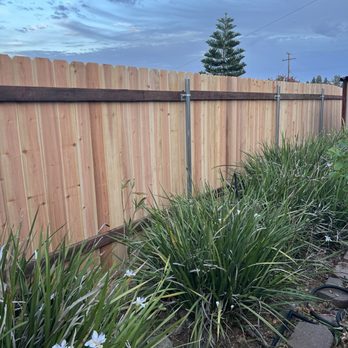 Silva Tree Service - With new fence - Tree Services Near Me Silva Tree Service - With new fence - Tree Services Near Me