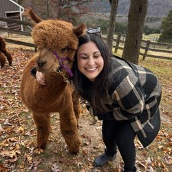 Point of View Alpaca Farm