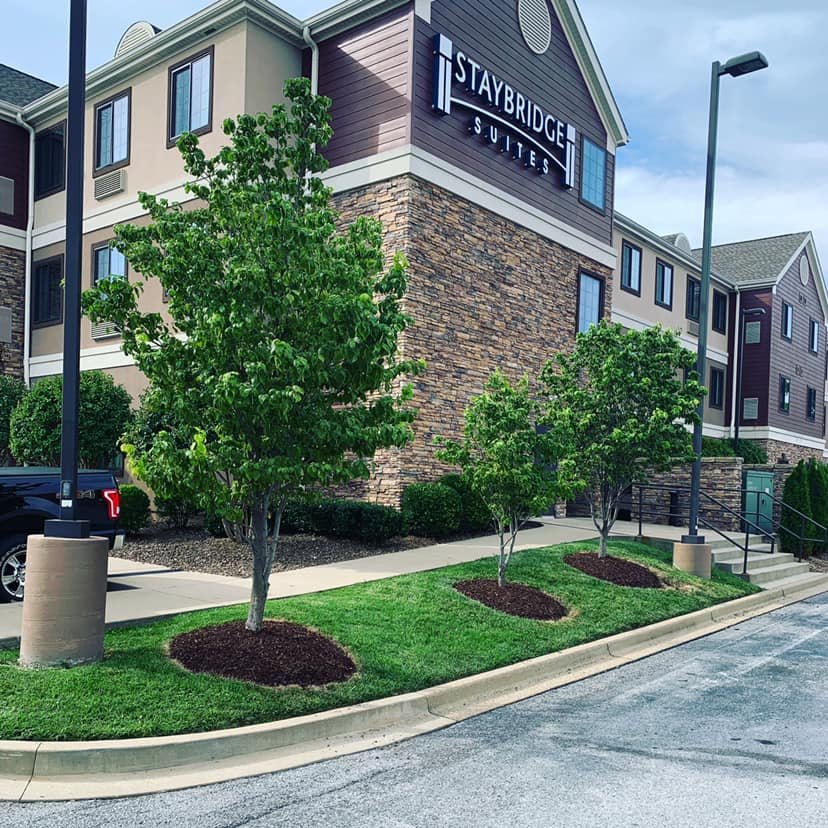 STAYBRIDGE SUITES BOWLING GREEN 71 Photos & 26 Reviews 680 Campbell