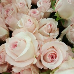 Farmhouse Floral