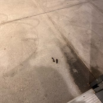 VOX Residences - Dog feces - Apartments Near Me - Los Angeles, California