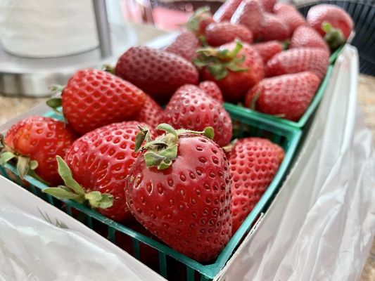 Concord Farmers' Market by null