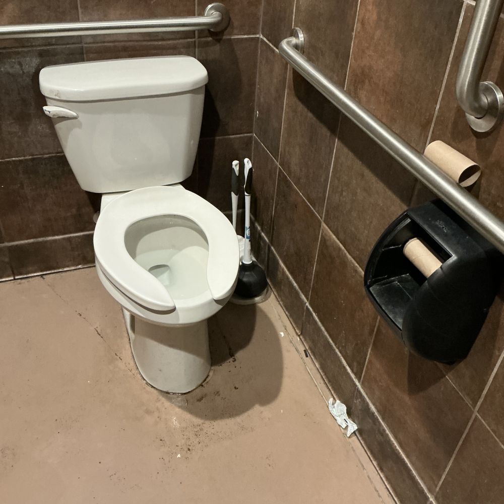 No toilet paper, pee all over toilet seat No toilet paper, pee all over toilet seat