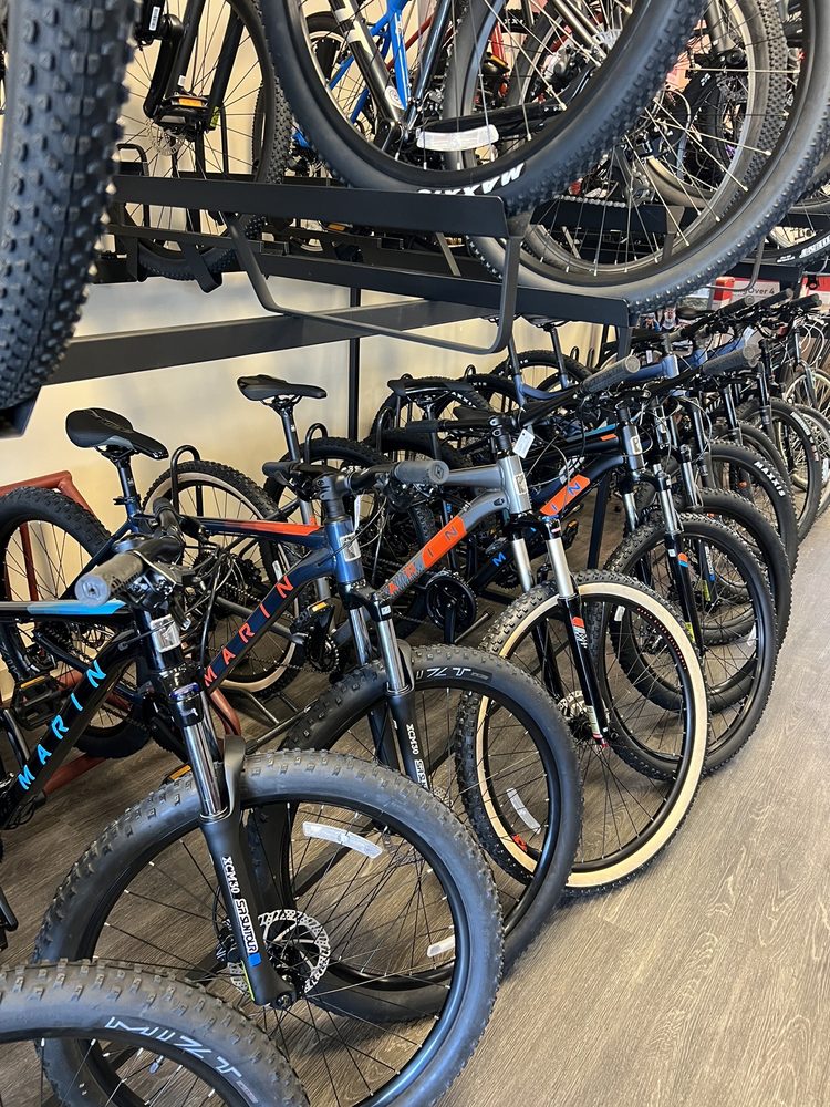 THE BIKE SHOP with 10 real customer photos Updated August 2024 2010