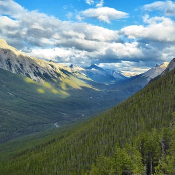 Banff Gondola - View on the way down. - Parks Near Me - Banff, Alberta Banff Gondola - View on the way down. - Parks Near Me - Banff, Alberta