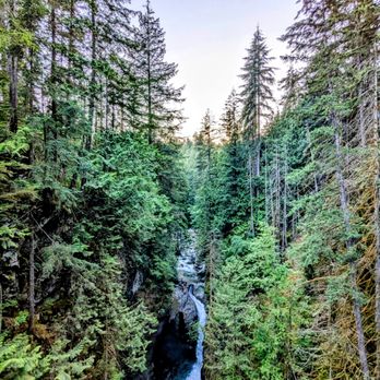 Lynn Canyon Park - For it being free the views are amazing and just as good as Capilano. - Parks Near Me - North Vancouver, British Columbia