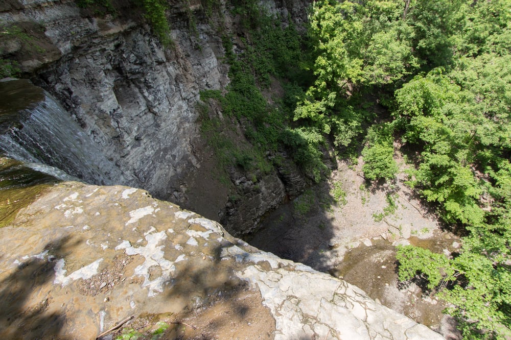 Social spots from Fall Brook