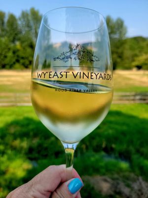 Wy'East Vineyards by null