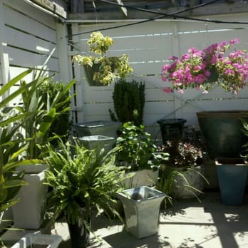 The Plant Gallery - Florists Near Me - Metairie, Louisiana The Plant Gallery - Florists Near Me - Metairie, Louisiana