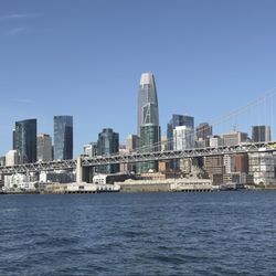 San Francisco Whale Tours