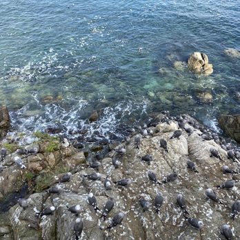 Lovers Point Park - Beautiful view of Lovers Point Park - Parks Near Me - Pacific Grove, California