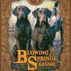 Blowing Springs Kennel of Atlanta