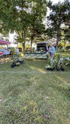 Tallahassee Farmers' Market by null