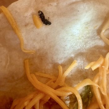 Taco Bell - Bug in taco. - Fast Food Near Me - Overland Park, Kansas