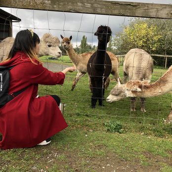 Kensington Prairie Farm - Arts & Crafts Near Me - Langley, British Columbia