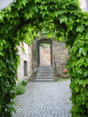 Bückingsgarten by null