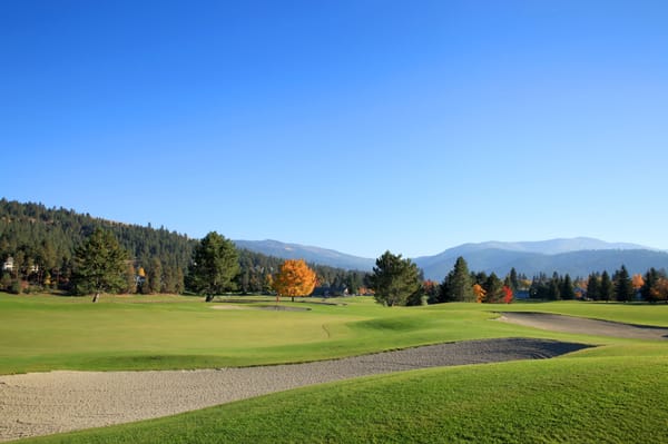 MEADOWWOOD GOLF COURSE Updated May 2025 13 Photos 24501 E MEADOWWOOD GOLF COURSE Updated May 2025 13 Photos 24501 E