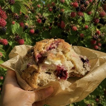 Wild Flour Bread - Cream cheese, raspberry, blackberry scone - Bakeries Near Me - Freestone, California