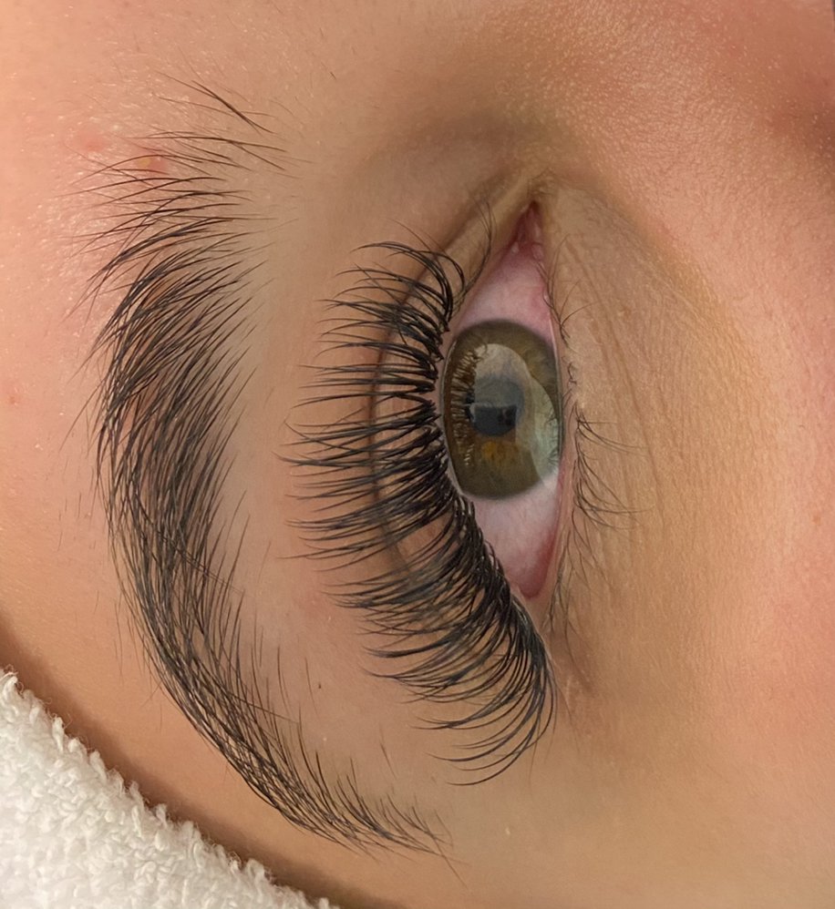 Zee Lashes Logo