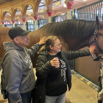Budweiser Brewery Experience - Wife and I petting the Clydesdale. - Beer Tours Near Me - Saint Louis, Missouri Budweiser Brewery Experience - Wife and I petting the Clydesdale. - Beer Tours Near Me - Saint Louis, Missouri