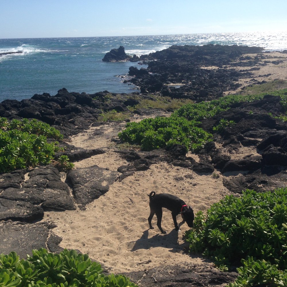 Kaiwi Shoreline Trail - Hiking Near Me Kaiwi Shoreline Trail - Hiking Near Me