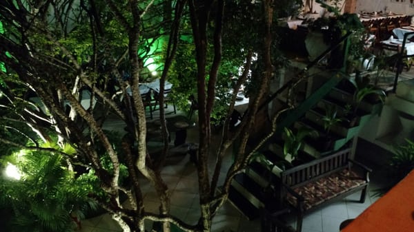 Paraíso Tropical by null