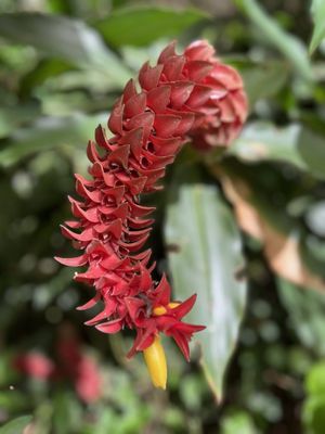 Parque das Aves by null