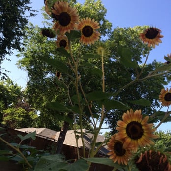 Garden Cafe - Breakfast & Brunch Near Me - Dallas, Texas Garden Cafe - Breakfast & Brunch Near Me - Dallas, Texas