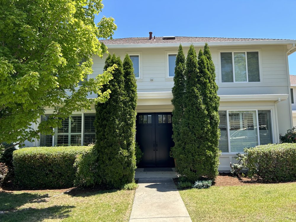 CHRIS POWELL PAINTING Updated August 2024 31 Photos Ukiah