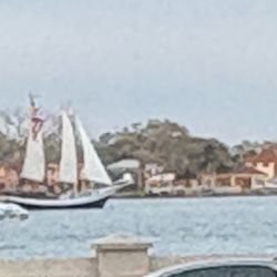 Bayfront Westcott House Bed and Breakfast - Schooner in the bay