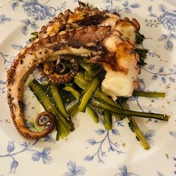Ristoranti: Teresina - Octopus was so good and flavorful, the green veggies really complement